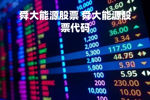 舜大能源股票 舜大能源股票代码