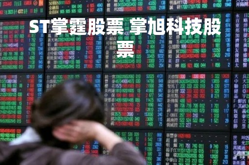 ST掌霆股票 掌旭科技股票