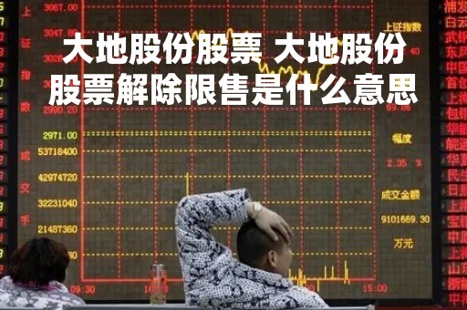 大地股份股票 大地股份股票解除限售是什么意思