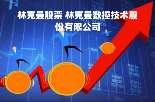 林克曼股票 林克曼数控技术股份有限公司