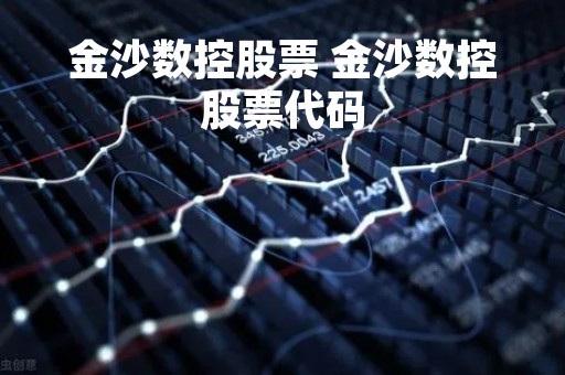 金沙数控股票 金沙数控股票代码