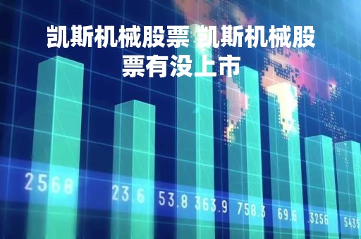 凯斯机械股票 凯斯机械股票有没上市