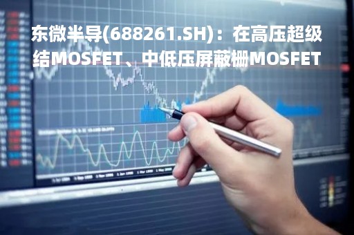 东微半导(688261.SH)：在高压超级结MOSFET、中低压屏蔽栅MOSFET、TGBT产品领域形成了一系列具有自主知识产权的核心技术