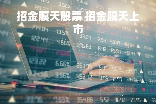 招金膜天股票 招金膜天上市
