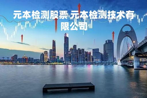 元本检测股票 元本检测技术有限公司