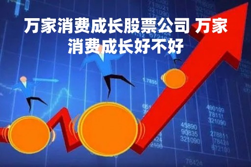 万家消费成长股票公司 万家消费成长好不好
