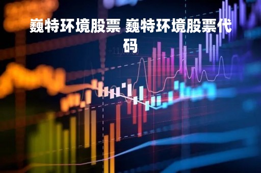 巍特环境股票 巍特环境股票代码