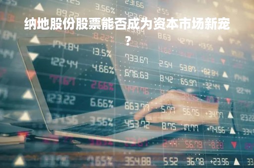 纳地股份股票能否成为资本市场新宠？