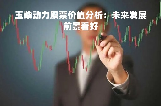 玉柴动力股票价值分析：未来发展前景看好