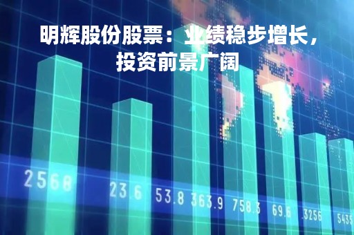 明辉股份股票：业绩稳步增长，投资前景广阔