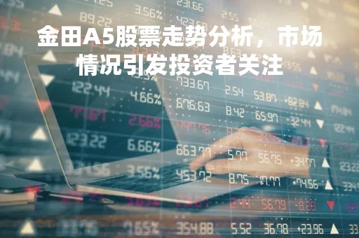 金田A5股票走势分析，市场情况引发投资者关注