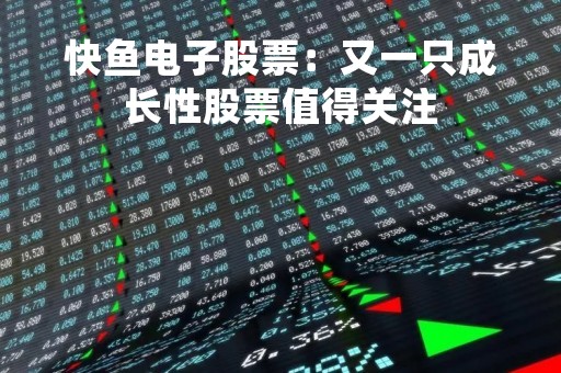 快鱼电子股票：又一只成长性股票值得关注
