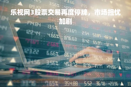 乐视网3股票交易再度停牌，市场担忧加剧