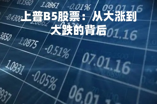 上普B5股票：从大涨到大跌的背后