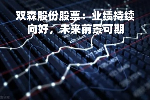 双森股份股票：业绩持续向好，未来前景可期