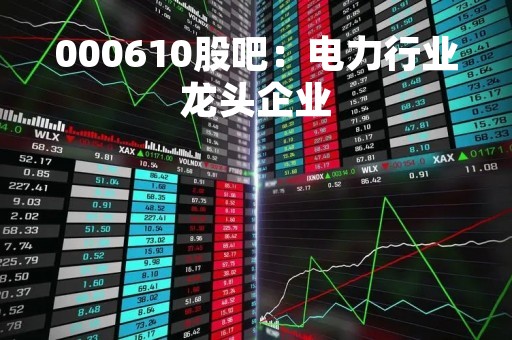 000610股吧：电力行业龙头企业