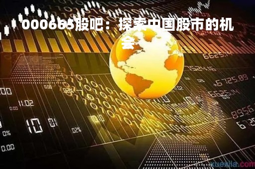000665股吧：探索中国股市的机会
