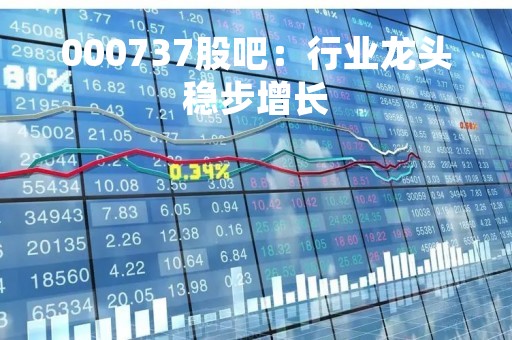 000737股吧：行业龙头稳步增长