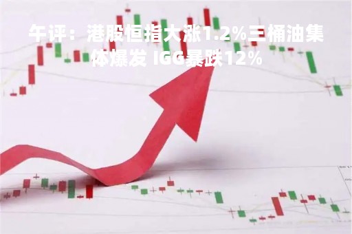 午评：港股恒指大涨1.2%三桶油集体爆发 IGG暴跌12%