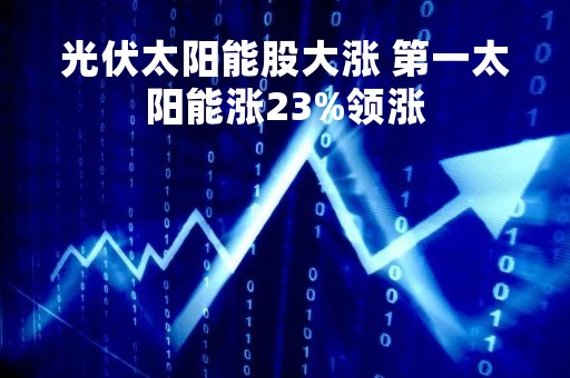 光伏太阳能股大涨 第一太阳能涨23%领涨