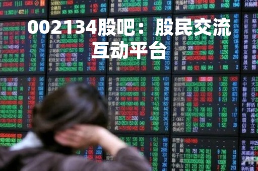 002134股吧：股民交流互动平台
