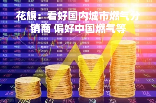 花旗：看好国内城市燃气分销商 偏好中国燃气等