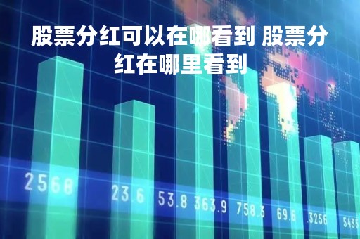 股票分红可以在哪看到 股票分红在哪里看到
