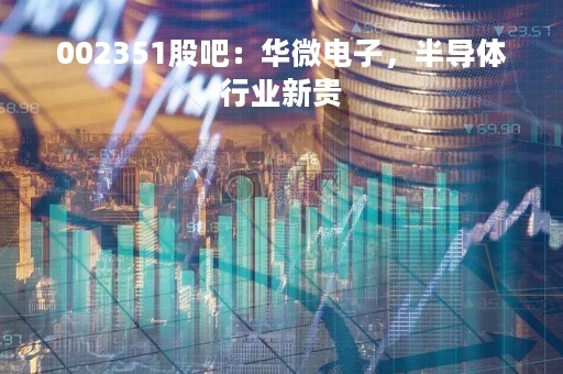 002351股吧：华微电子，半导体行业新贵