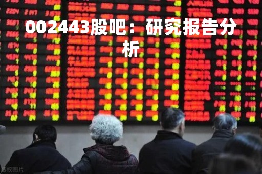 002443股吧：研究报告分析