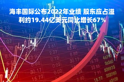 海丰国际公布2022年业绩 股东应占溢利约19.44亿美元同比增长67%
