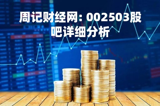 周记财经网: 002503股吧详细分析