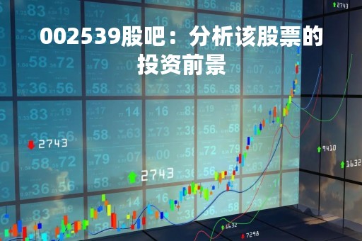 002539股吧：分析该股票的投资前景