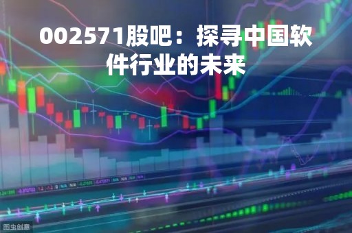 002571股吧：探寻中国软件行业的未来