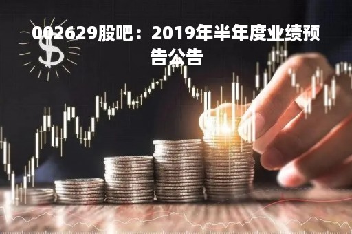 002629股吧：2019年半年度业绩预告公告