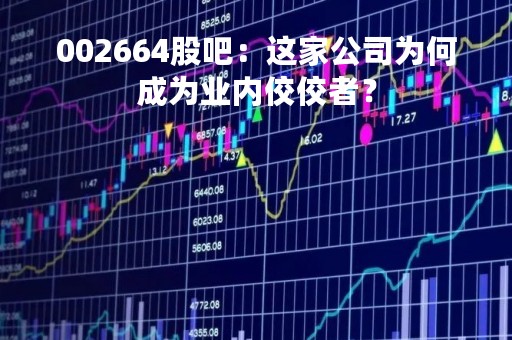 002664股吧：这家公司为何成为业内佼佼者？