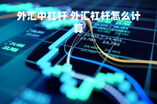外汇中杠杆 外汇杠杆怎么计算