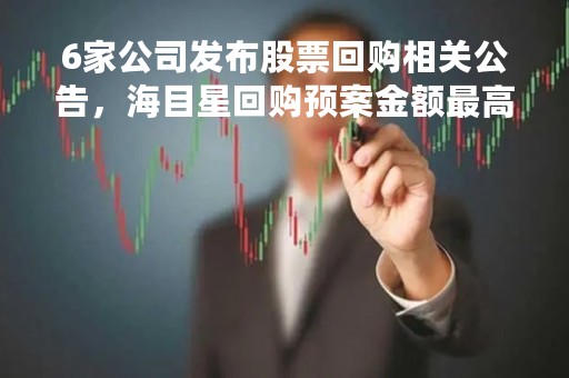 6家公司发布股票回购相关公告，海目星回购预案金额最高