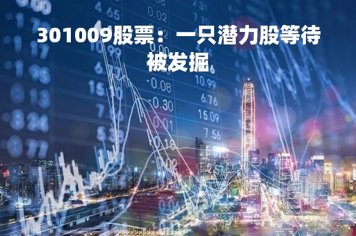 301009股票：一只潜力股等待被发掘