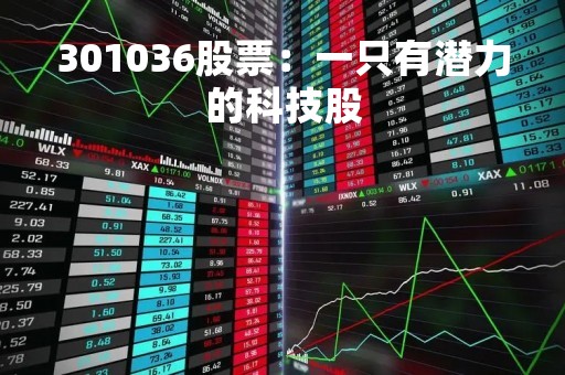 301036股票：一只有潜力的科技股