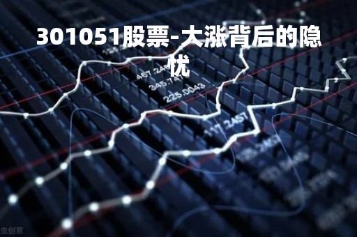 301051股票-大涨背后的隐忧