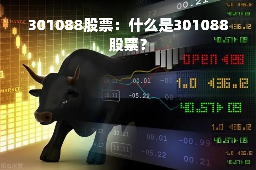 301088股票：什么是301088股票？