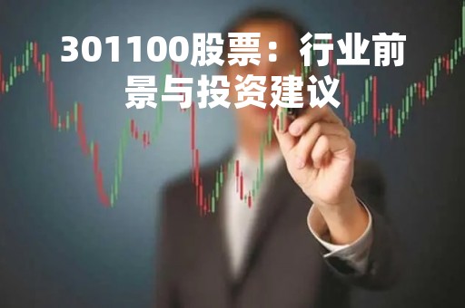 301100股票：行业前景与投资建议