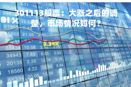 301113股票：大涨之后的调整，市场情况如何？