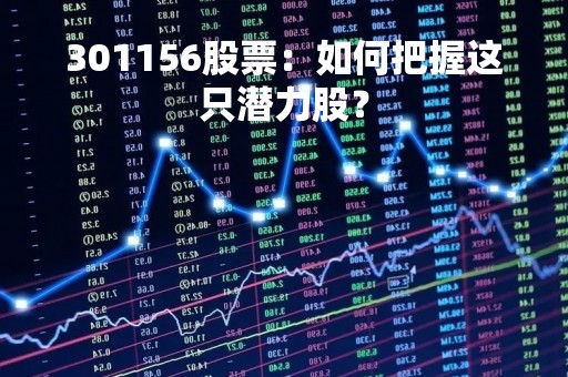301156股票：如何把握这只潜力股？