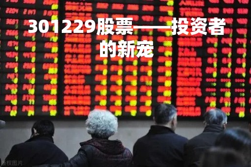 301229股票——投资者的新宠