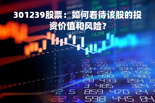 301239股票：如何看待该股的投资价值和风险？