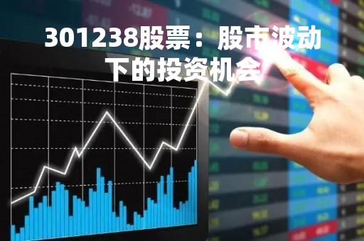 301238股票：股市波动下的投资机会