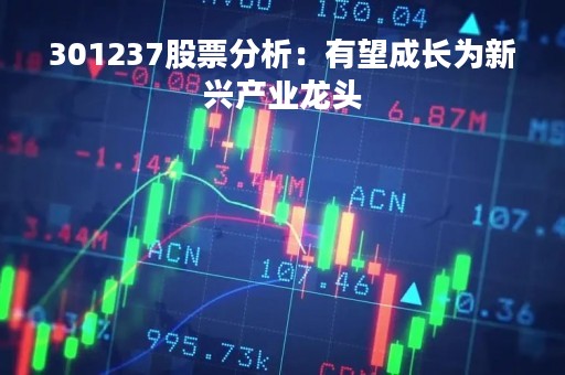 301237股票分析：有望成长为新兴产业龙头