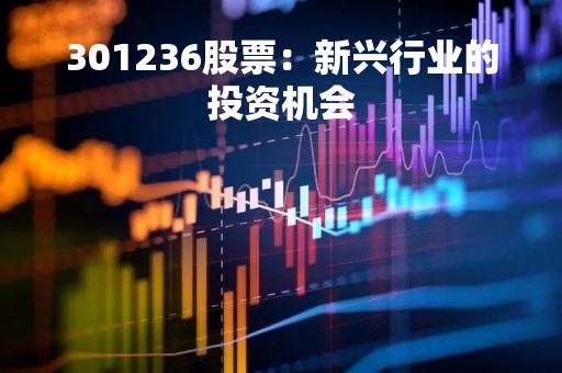 301236股票：新兴行业的投资机会