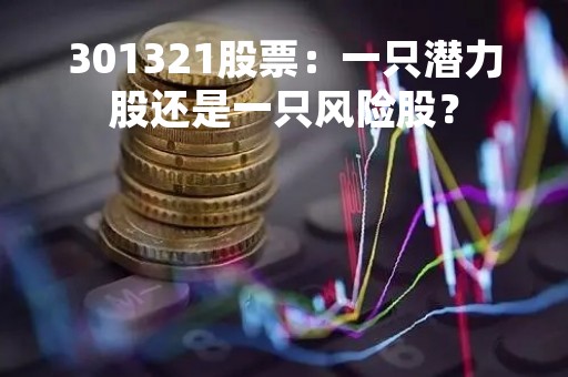 301321股票：一只潜力股还是一只风险股？